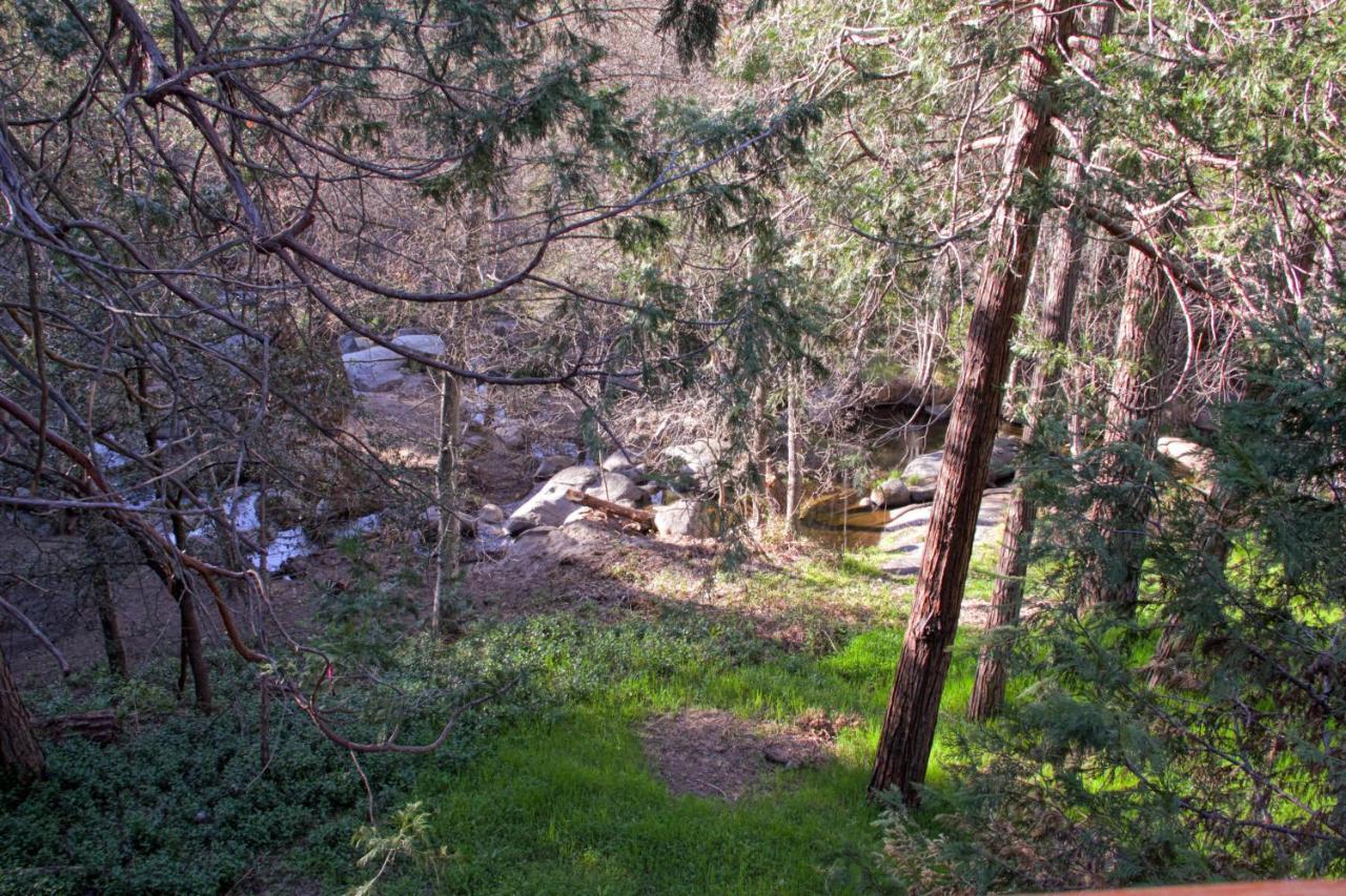 Sierra Springs Villa Oakhurst Bagian luar foto